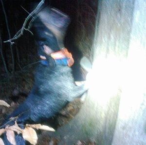 Meet your Posher, Timothy